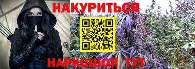 прущие грибы Будённовск