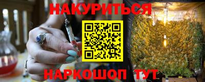 прущие грибы Будённовск