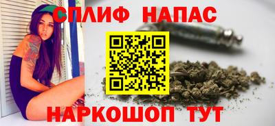 СК Гай