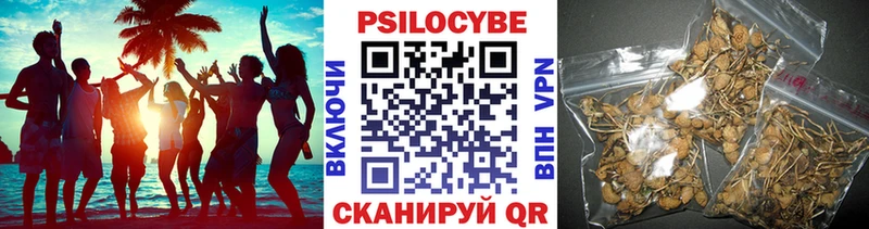 Псилоцибиновые грибы Cubensis  Балахна 