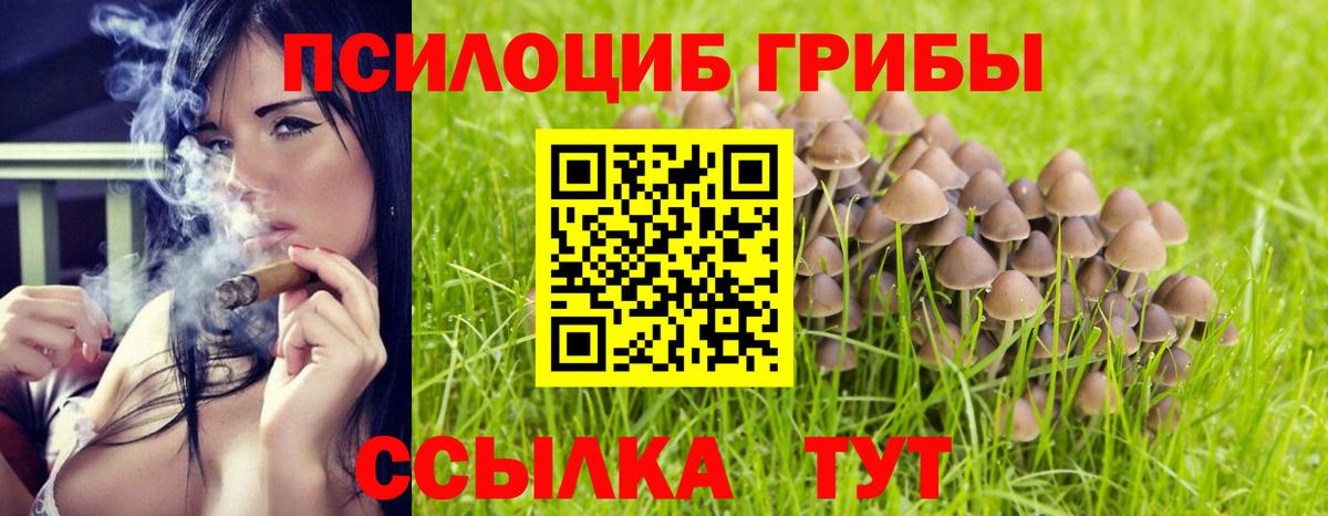 Галлюциногенные грибы Cubensis Балахна