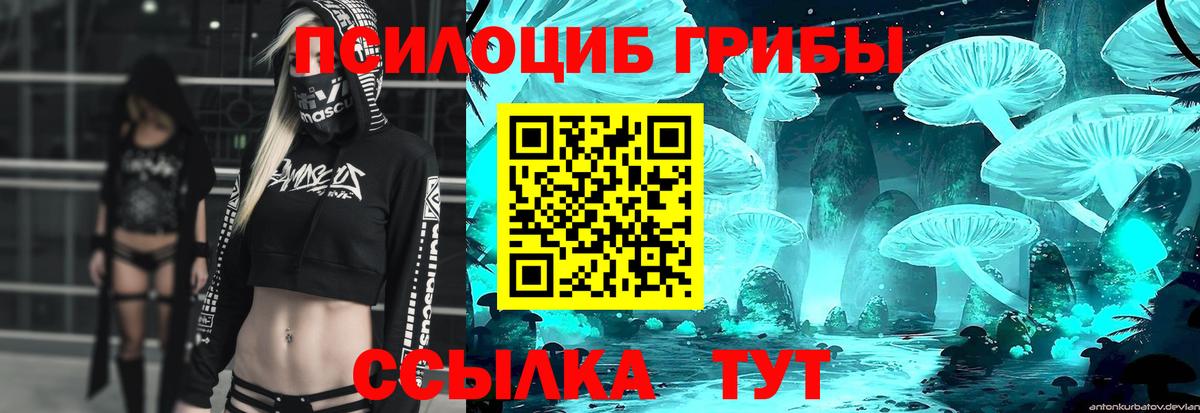 Галлюциногенные грибы MAGIC MUSHROOMS  продажа наркотиков  Балахна  Вход с VPN 